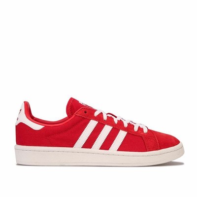 adidas original superstar bordeaux